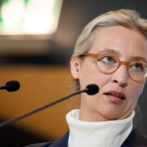 The AfD sovereignists appeal to the German Constitutional Court against their classification as an alleged “extremist group”