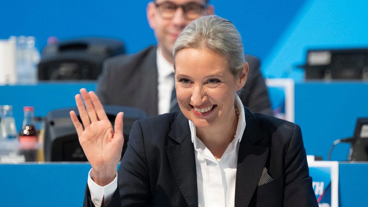 AfD, on the way to an absolute majority: polls already estimate 40% popular support in the region of Saxony-Anhalt